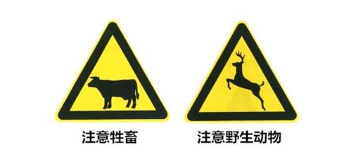 杭州杭邮驾校提醒科一 相似交通标志 这样记